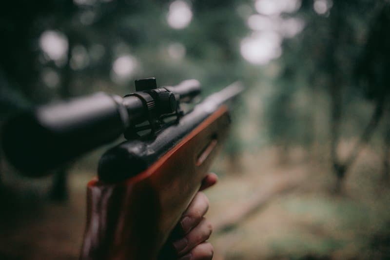 Improve Your Accuracy with a Rifle Scope