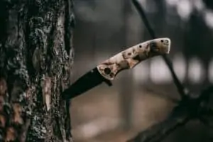 Why You Should Carry A Knife For Outdoor Adventure