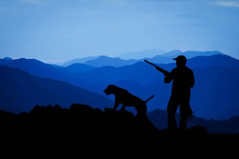 going hunt with dogs