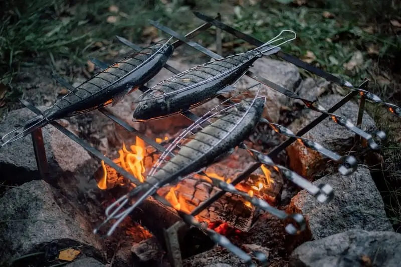 fish on campfire grill grate