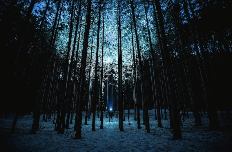 bear blinding flashlight