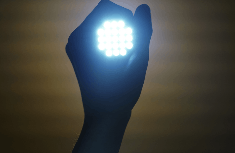 flashlight to prevent bears