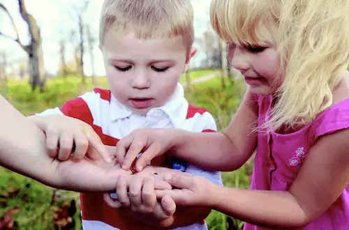 how to keep bugs away while camping