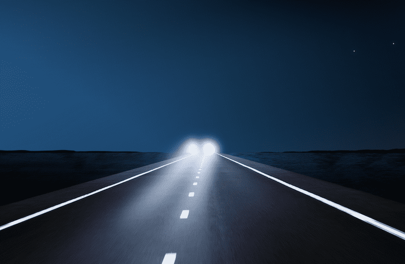 Why Do Deer Freeze In Headlights? [Scientific Explanation]