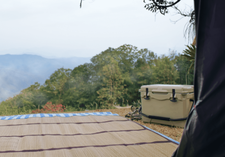 10 Best Bear Proof Coolers [Rotomolded & Extra Strong]